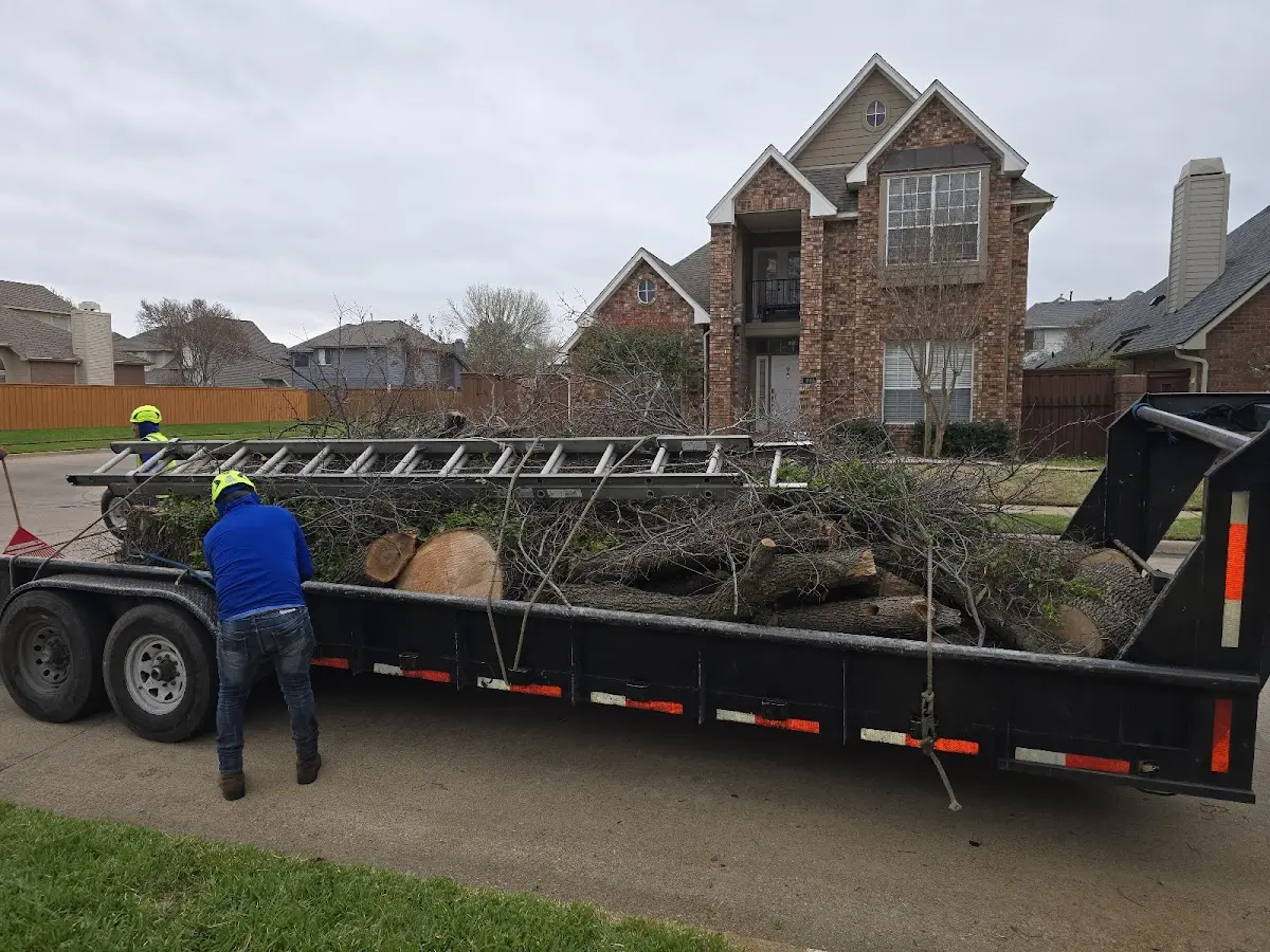 Expert Crown Reduction with proper safety equipment in Longwood
